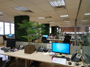Artificial Areca Palm Tree (Height: 120cm) - AL15070