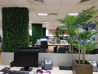 Artificial Areca Palm Tree (Height: 120cm) - AL15070