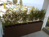 Small Artificial Bamboo (Height: 95cm) - AL16070