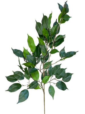 Ficus branch - Green (Length: 100cm) - FBR0054