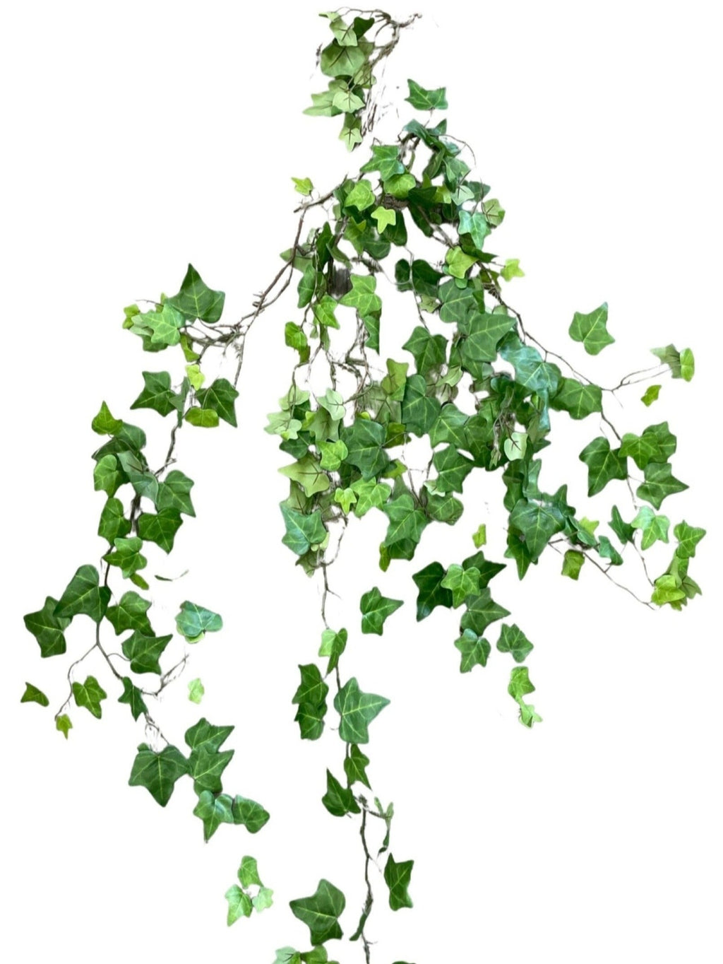 Big ivy - Green - I-165-FC-1545 (Length: 1.65m)