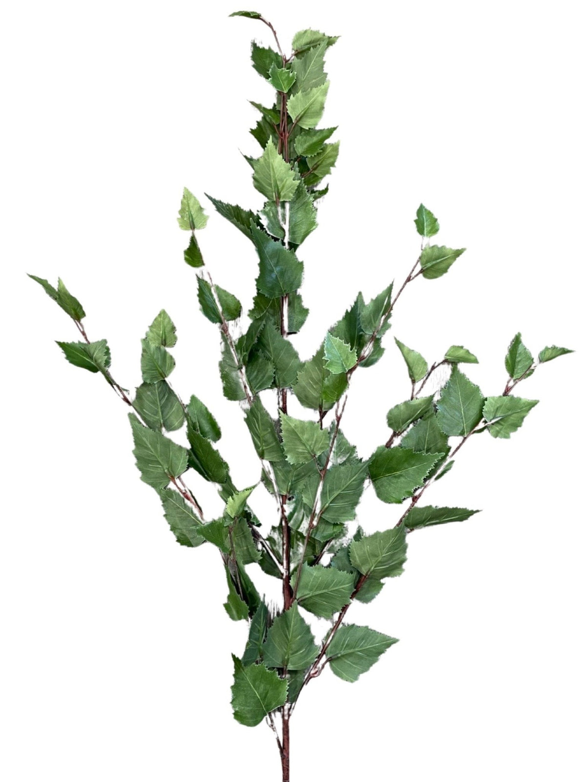 Birch Branch - Green (Length: 127cm) -FBR0053
