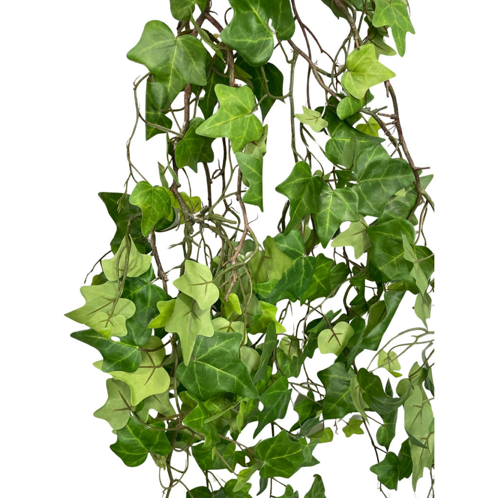 Big ivy - Green - I-165-FC-1545 (Length: 1.65m)