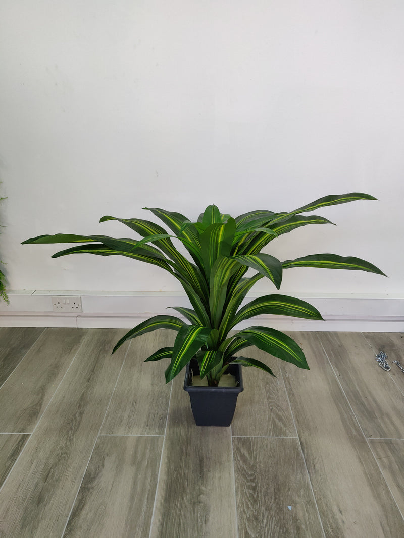 Artificial Dracaena Plant (Height: 80cm) - A004