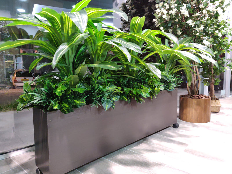 Artificial Dracaena Plant (Height: 80cm) - A004