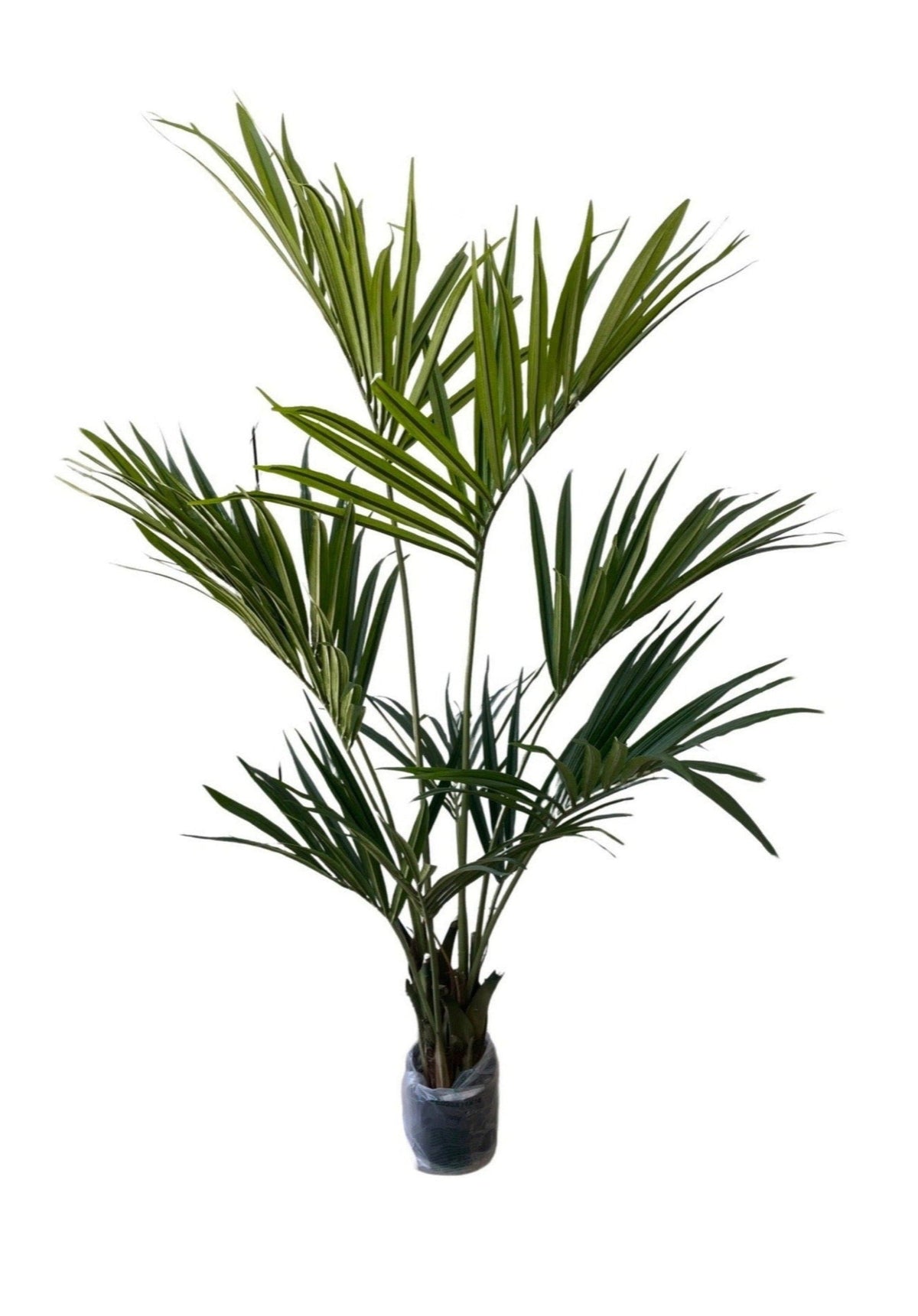 Artificial Kentia Palm (Height: 1.10m & 1.70m) - KEECXP