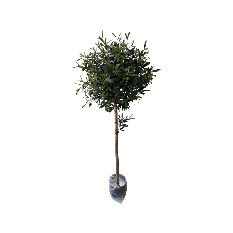 Artificial Olive Ball Tree (Height: 1.10m - 1.60m)
