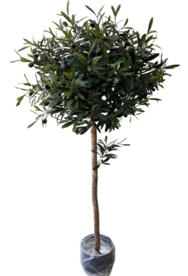 Artificial Olive Ball Tree (Height: 1.10m - 1.60m)