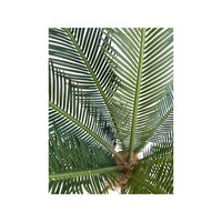 Artificial Cycas Palm (Height: 95cm) - WRSLGRZ*95H-3015