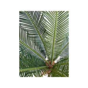 Artificial Cycas Palm (Height: 95cm) - WRSLGRZ*95H-3015