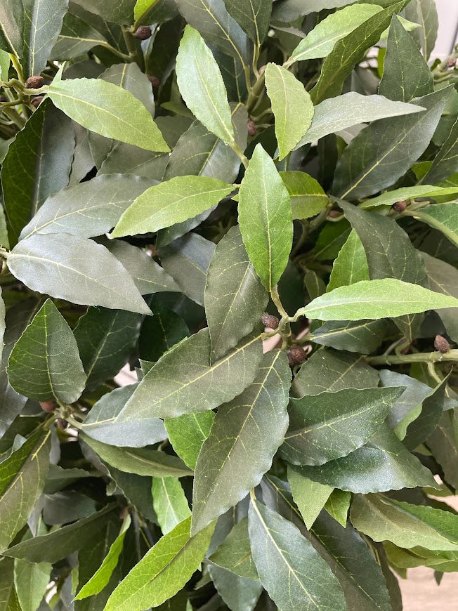 Artificial Sweet Bay (Laurel) Ball (Height: 50cm) - AYSBWK5050F-1776