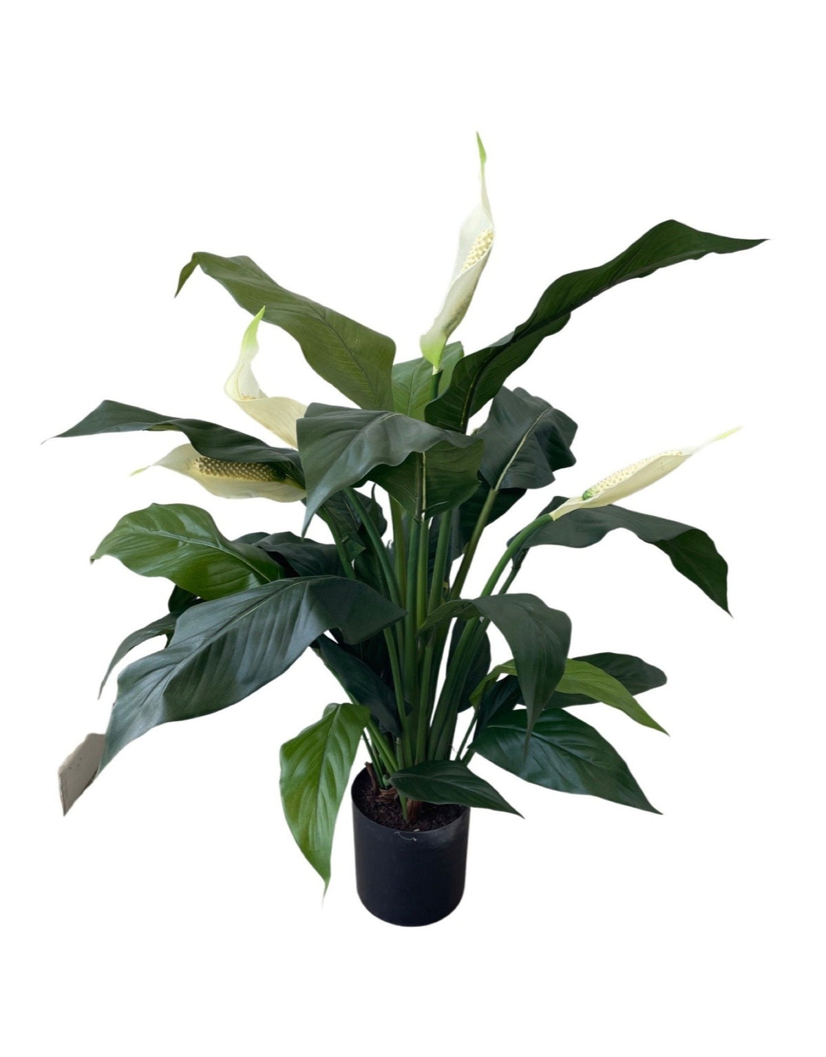 Artificial Spathiphylum Plant (Height: 80cm) - 392A*73-29/IL