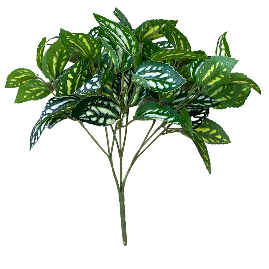 Pylaea Branch (Height: 30cm) -FBR0050