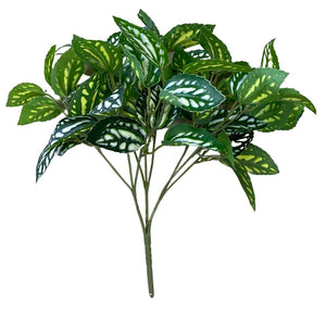 Pylaea Branch (Height: 30cm) -FBR0050