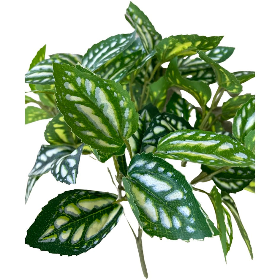 Pylaea Branch (Height: 30cm) -FBR0050
