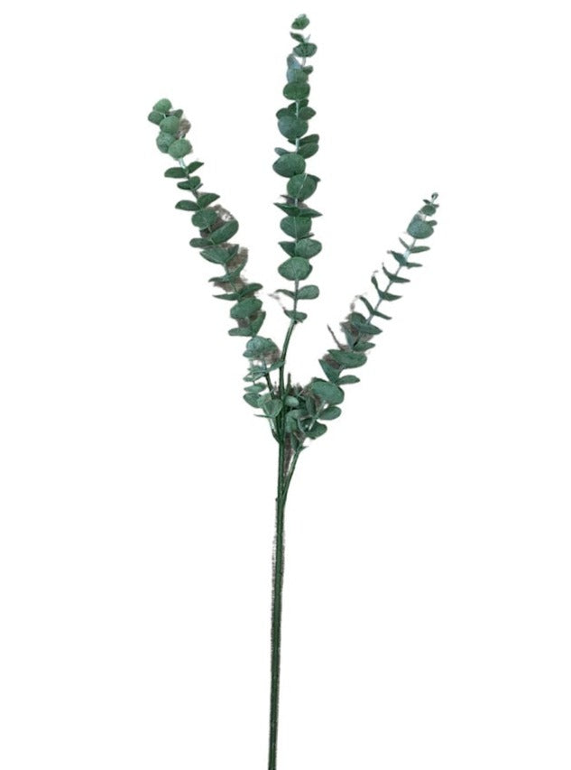 Eucalyptus Baby Blue (Length: 78cm) -FBR0049