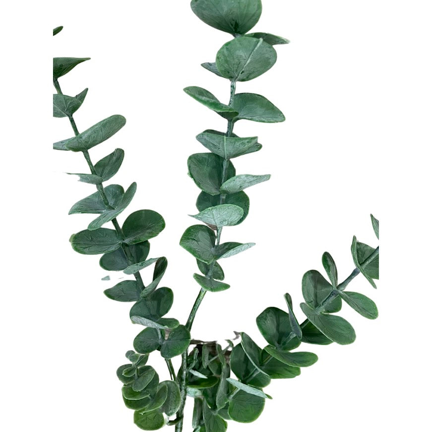 Eucalyptus Baby Blue (Length: 78cm) -FBR0049
