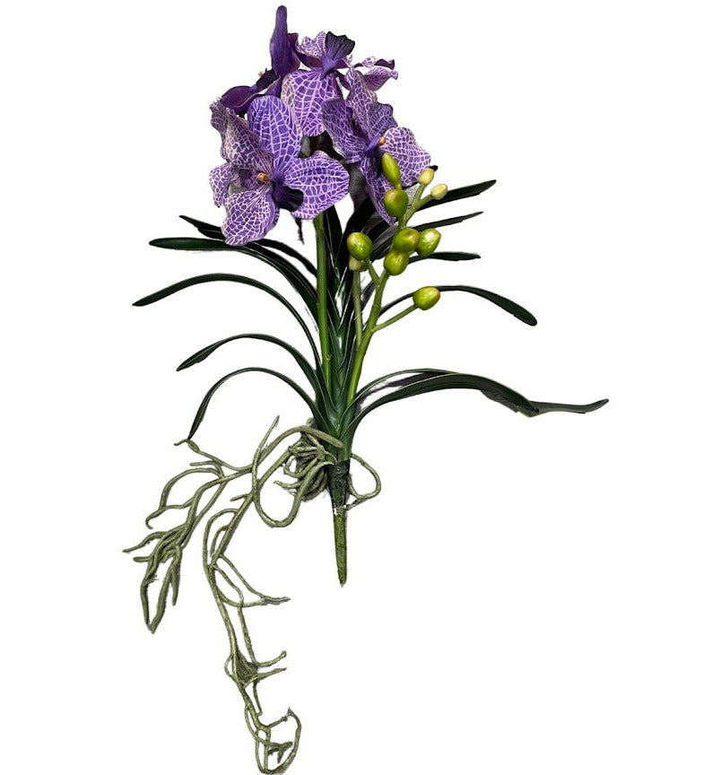 Wanda Orchids Violet - FLR0022