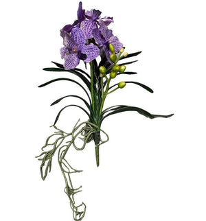 Wanda Orchids Violet - FLR0022