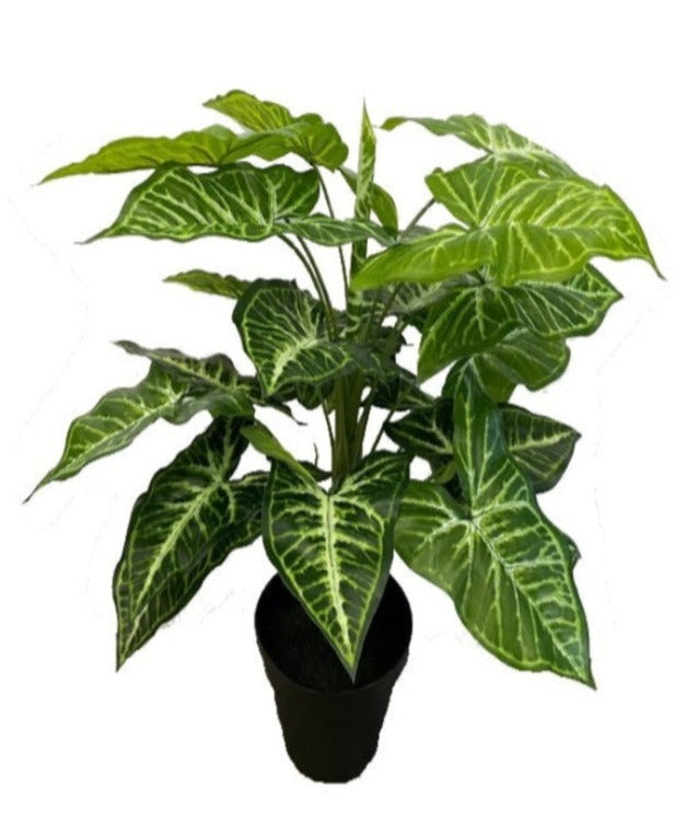 Artificial Caladium Plant (45cm) - PTR0059