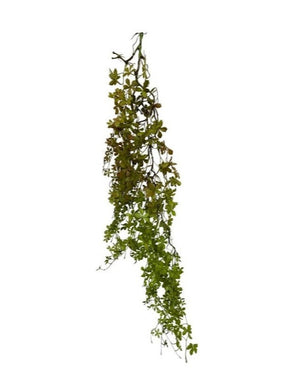 Artificial Hanging Cissus Striata plant (Length: 1.10m) - HAN0032