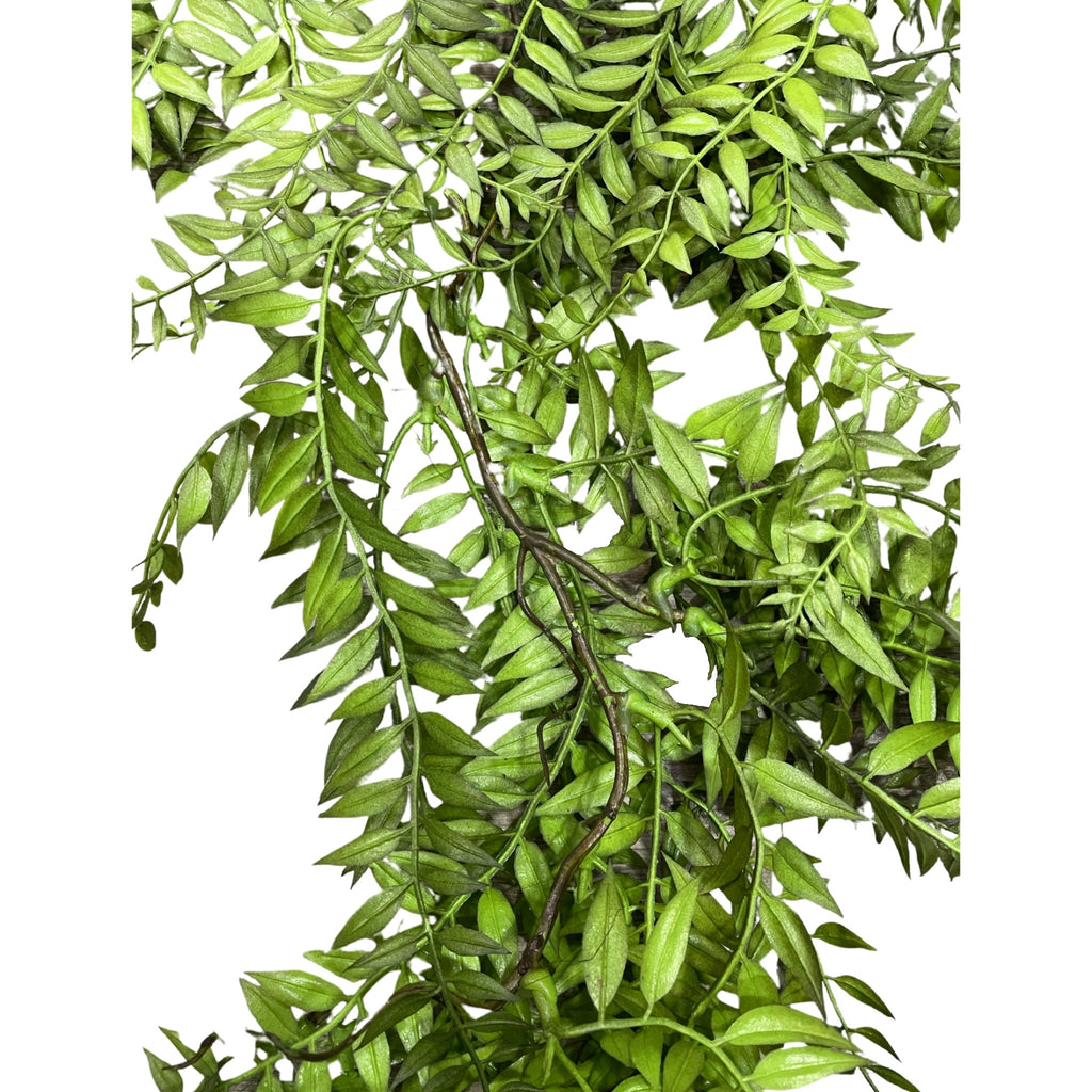 Hanging Wild Fern (Length: 105cm) - HAN0028