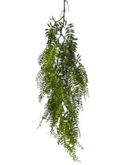 Hanging Wild Fern (Length: 105cm) - HAN0028