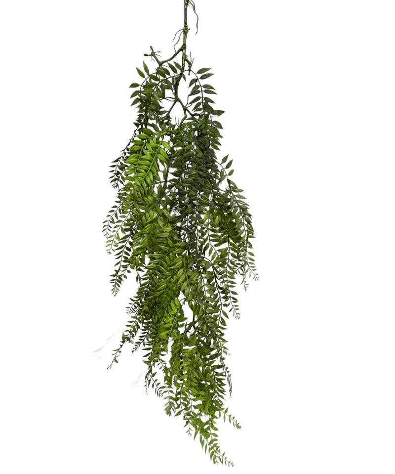 Hanging Wild Fern (Length: 105cm) - HAN0028