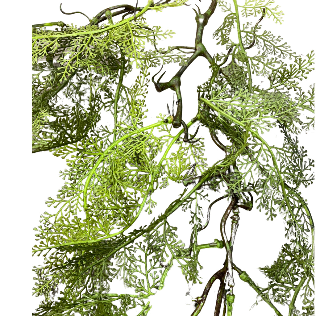 Hanging Fern Root (Length: 97cm) - HAN0029