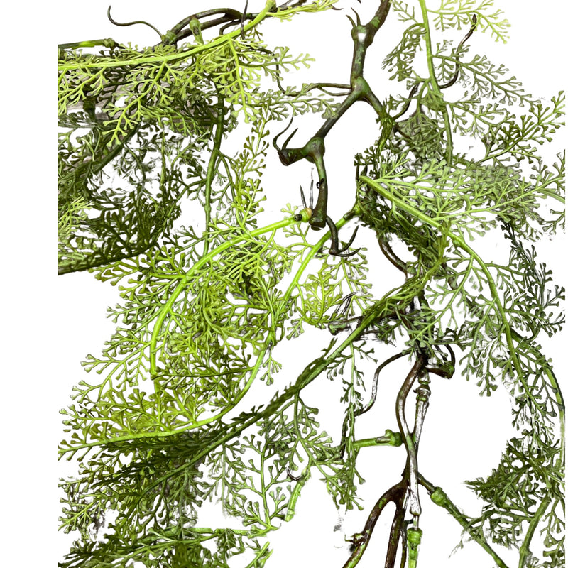 Hanging Fern Root (Length: 97cm) - HAN0029
