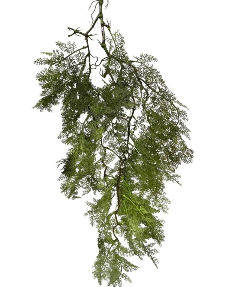 Hanging Fern Root (Length: 97cm) - HAN0029