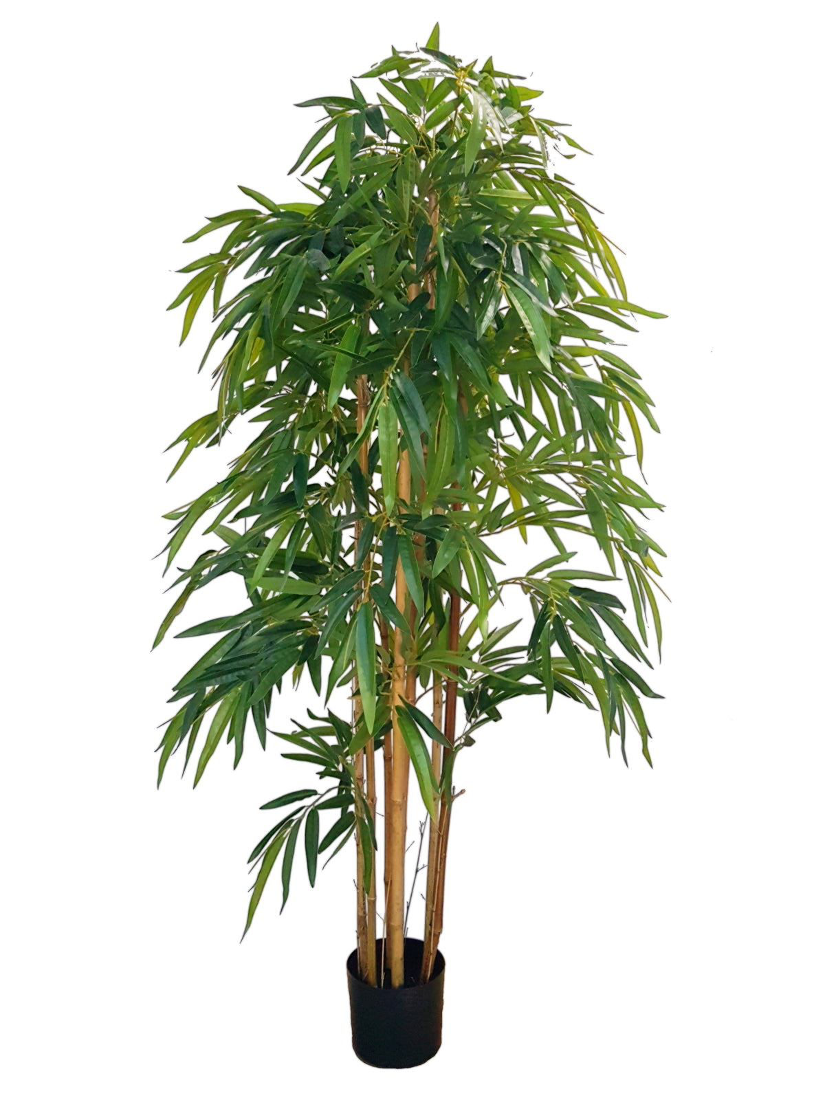 Large Artificial Bamboo (Height: 180cm) - AL15096
