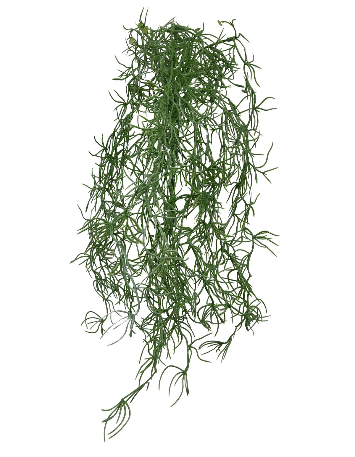 Artificial hanging Spanish Moss (Length: 65cm) - With UV protection | BG042