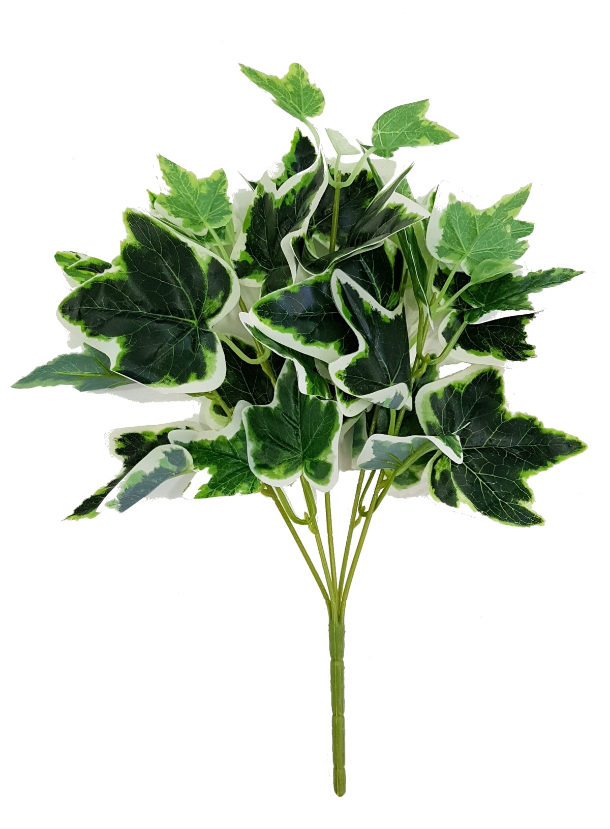 Artificial Ivy green & white foliage (Length: 35cm)