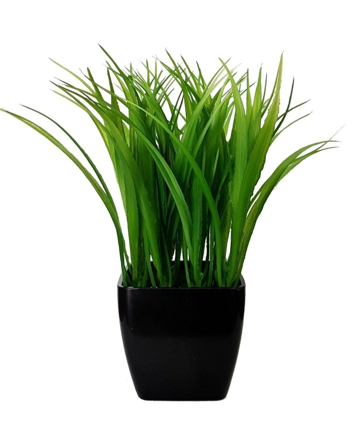 Potted Grass (Height: 25cm) - AL14G013