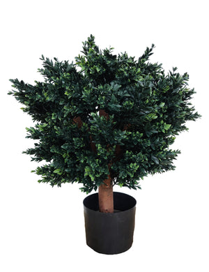 Artificial Boxwood Plant (Height: 60cm) - NAL19-0100