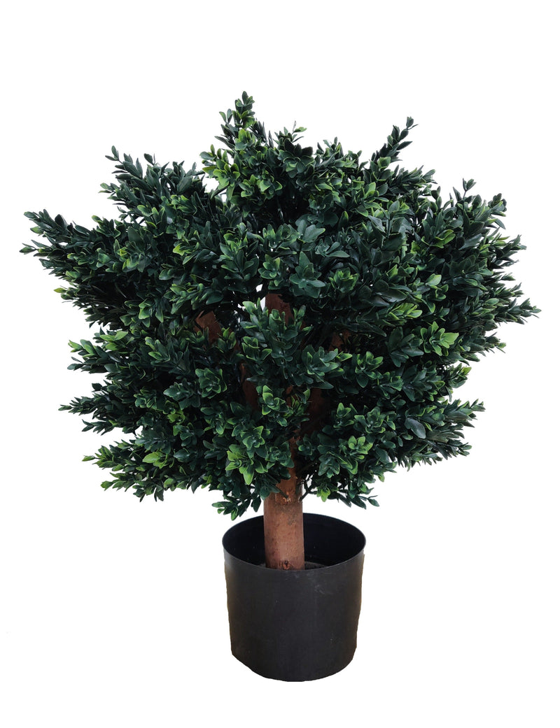 Artificial Boxwood Plant (Height: 60cm) - NAL19-0100