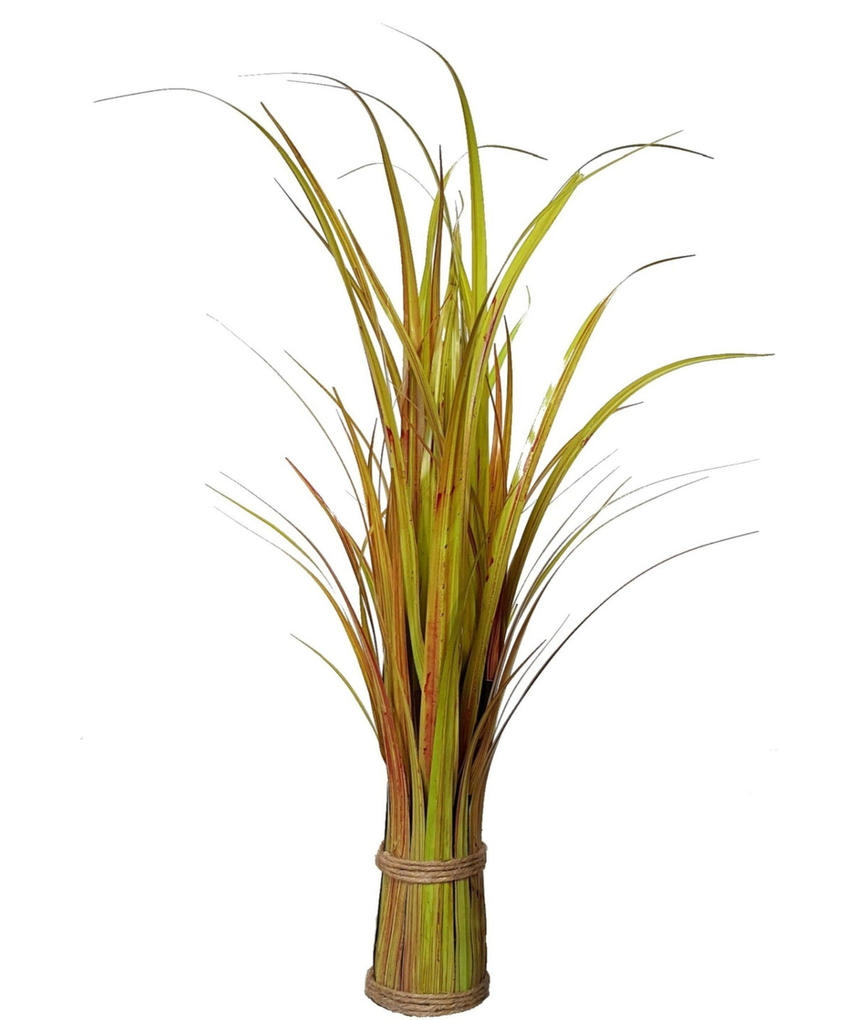 River Grass - Height 65cm (Not potted) - 15ON005