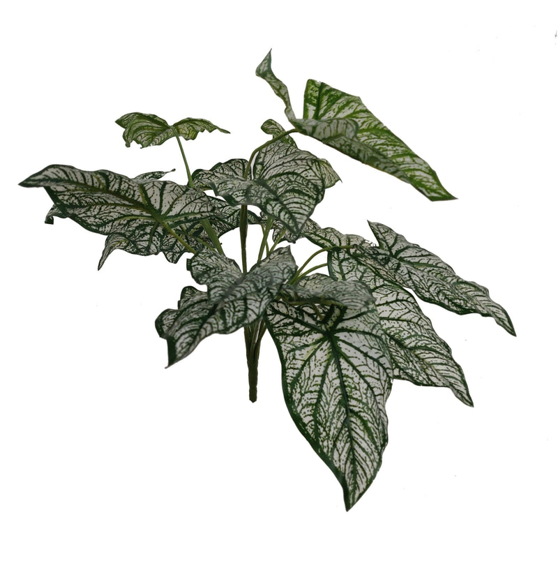 Artificial White Syngonium Branch (Length: 40cm) - DS08