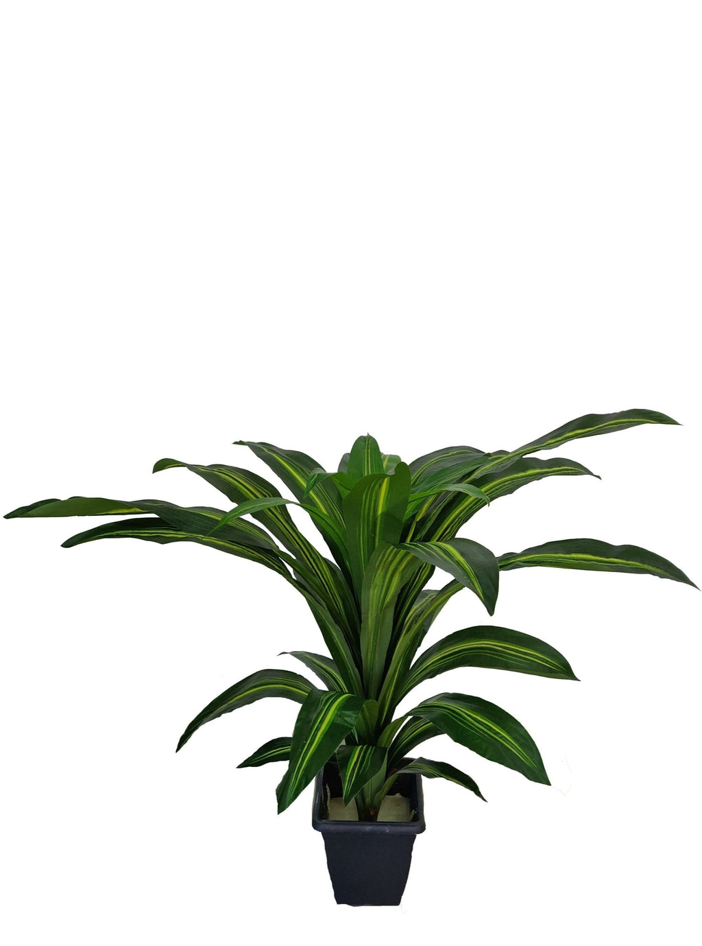 Τεχνητό Φυτό Δρακαένα (Ύψος: 80cm) - A004