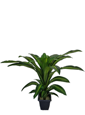 Artificial Dracaena Plant (Height: 80cm) - A004