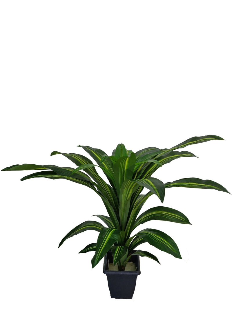 Artificial Dracaena Plant (Height: 80cm) - A004