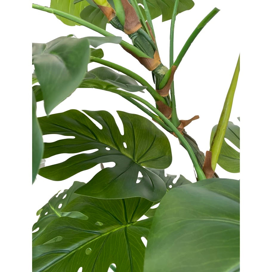 Artificial Monstera Bonsai plant (Height: 1.55m) - NAL21-3444