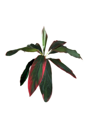 Artificial Spathiphyllum Bush (46cm) - PTR0047
