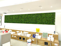 Τεχνητή άνοιξη ανθισμένα πράσινο πλαίσιο τοίχου (50 εκατοστά x 50 εκατοστά) - A009