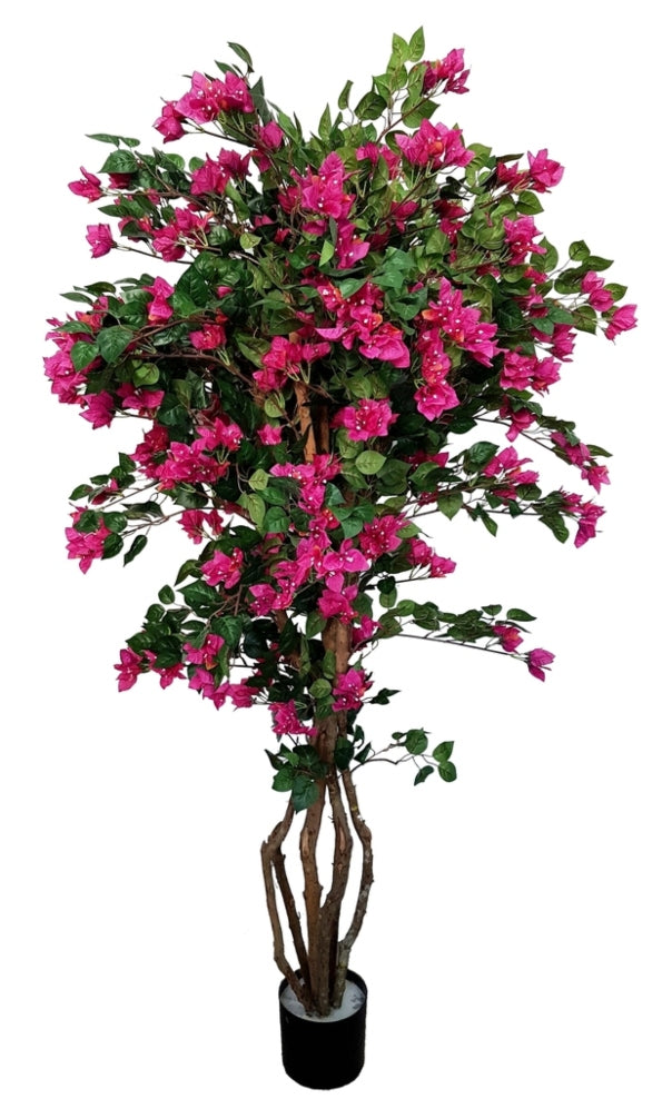 Artificial Bougainvillea Tree (180cm) Fuchsia colour - 25011-180